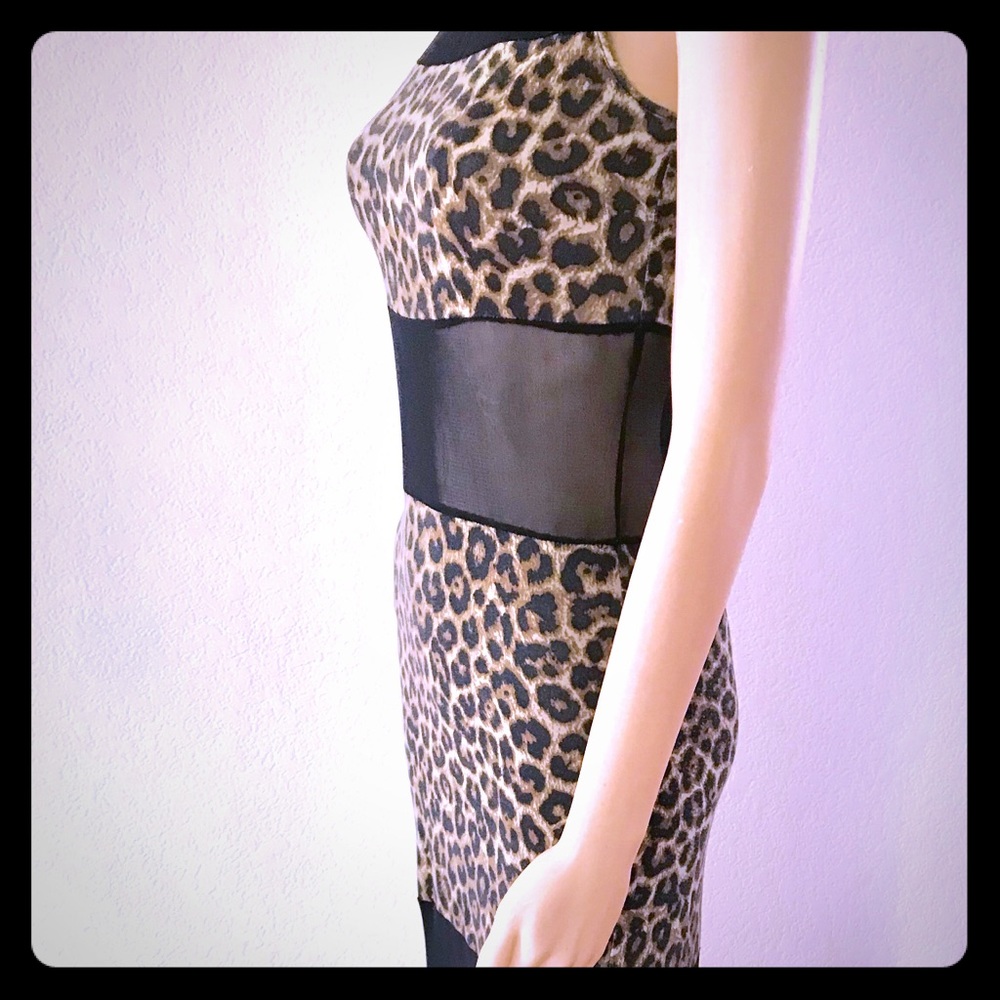 Leopard Print and Sheer Black Maxi Dress